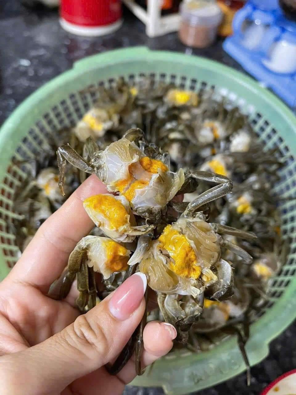 Thành Phố Mới Sau Khi Sáp Nhập Hải Phòng, Hải Dương Có Loạt Đặc Sản 'Trời Ban' 3 3 1745062219 927 Width960Height1280