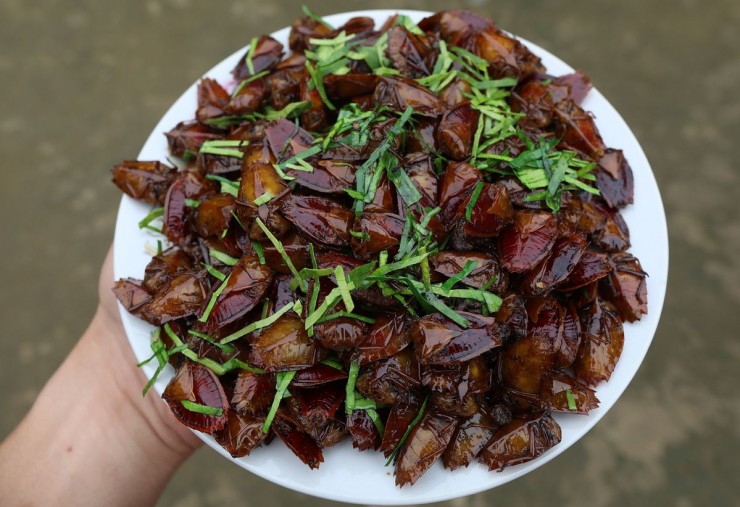 3 Món Ăn Khiến Khách 'Sợ Xanh Mặt' Nhưng Nổi Tiếng Ngon Lạ Ở Miền Bắc 5 1748999101 Mon An Ky Di Trang Gai Ban 22570 Width1200Height822
