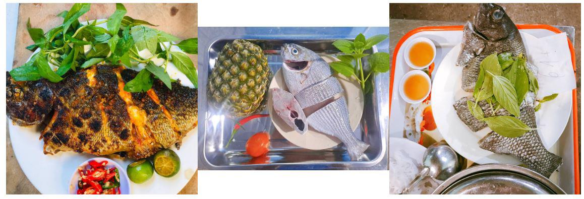 Đặc Sản Lý Sơn Có Tên Đáng Sợ, Thoắt Ẩn Thoắt Hiện, Có Tiền Cũng Khó Mua 3 Dac San Ly Son Co Ten Dang So Thoat An Thoat Hien Co Tien Cung Kho Mua 3 1749283191 398 Width1158Hei