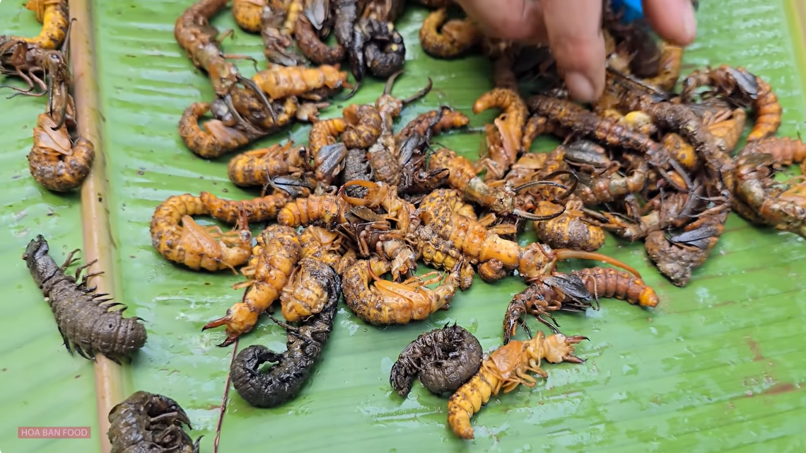 3 Món Ăn Khiến Khách 'Sợ Xanh Mặt' Nhưng Nổi Tiếng Ngon Lạ Ở Miền Bắc 1 To M Ru Ng 1 1749000159 577 Width1140Height640