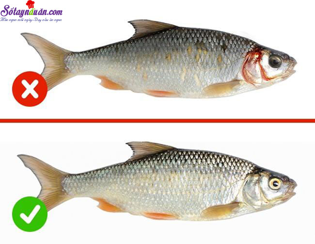 Mẹo Nhận Biết Thực Phẩm Kém Chất Lượng Bạn Nên Biết 6 Meo Nha Biet Thuc Pham Kem Chat Luong Buoc 6