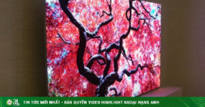 1 1749806025 342 Width740Height495 Auto Crop Watermark