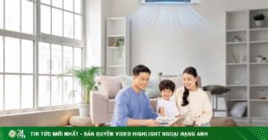 1749379339 427 Thumbnail Width740Height495 Anh Cat 3 2 Auto Crop Watermark