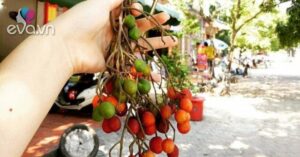 1749648330 731 Thumbnail Width713Height535 Auto Crop Watermark