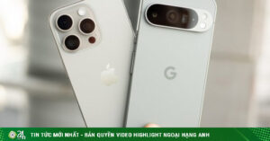 1749716764 685 Thumbnail Width740Height495 Anh Cat 3 2 Auto Crop Watermark