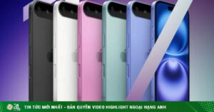 1749718638 157 Thumbnail Width740Height495 Anh Cat 3 2 Auto Crop Watermark