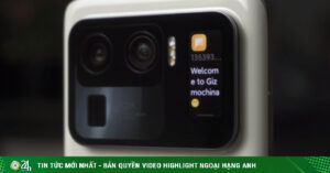 1750061771 221 Thumbnail Width740Height495 Anh Cat 3 2 Auto Crop Watermark
