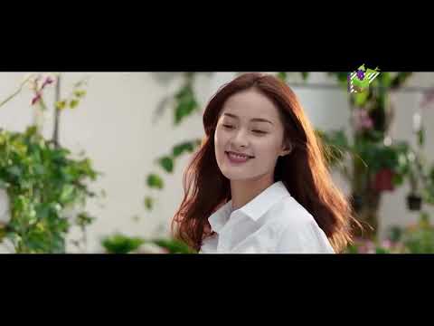 1754570348 hqdefault