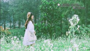 1755218277 maxresdefault