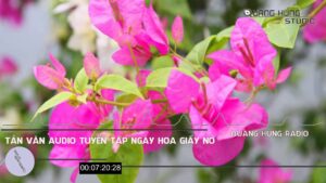 1755504801 maxresdefault