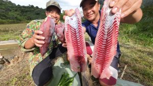 1783245957 Maxresdefault
