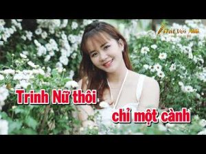 Hoa Trinh Nữ Mix Quang Hung Tuyet Nhi 1 1783367575 Hqdefault