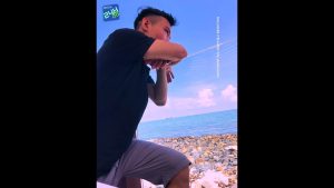 Chillcover | Tôi Không Tin | Quang Hùng 1 1783412751 Maxresdefault