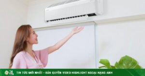 1744822541 596 Thumbnail Width740Height495 Anh Cat 3 2 Auto Crop Watermark