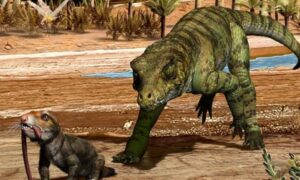 Vnecroc 1744889506 2091 1744889604