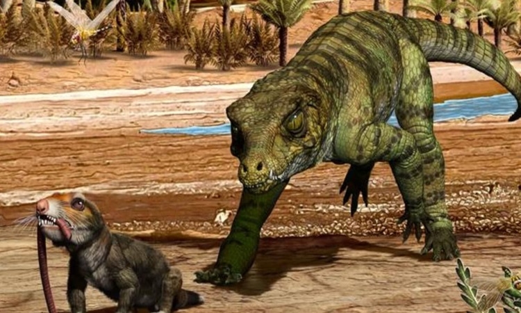 Vnecroc 1744889506 2091 1744889604