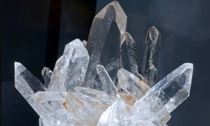 Vnequartz 1745032068 8512 1745032128