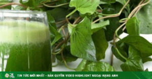 Adt1745204208 Uong Nuoc Rau Diep Ca Co Tac Dung Gi Anh Cat 3 2 Auto Crop Watermark