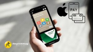Apple Pay 12638803987093525910