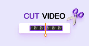 Cat Video