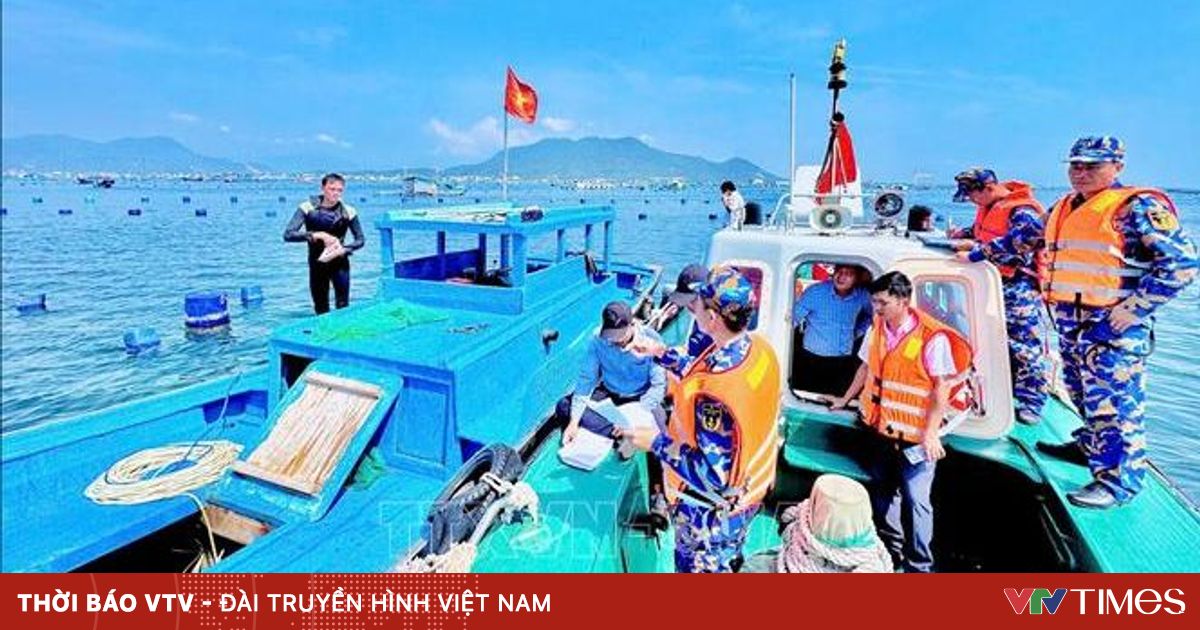 Vna Potal Vung 4 Hai Quan Tang Cuong Tuan Tra Kiem Soat Vung Nuoc Cam Can Cu Quan Su Cam Ranh Stand