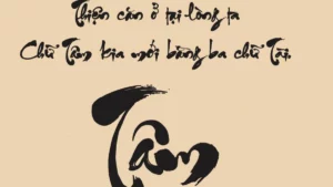 Voh Tho Ve Tam Duc Nhan 1 083831 17450208820321460652978 204 0 597 700 Crop 1745020897166174396521.J