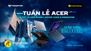 Kv Tuan Le Acer 04 2638848867042042123