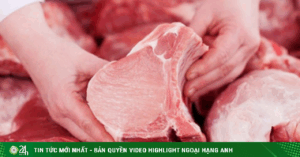 Adt1748951552 Thitlon 10376 0 0 454 727 Crop 82821 Anh Cat 3 2 Auto Crop Watermark