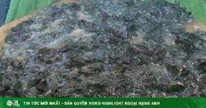 Adt1749369736 2 Loai Rau It Ngam Thuoc Tru Sau Nha Anh Cat 3 2 Auto Crop Watermark