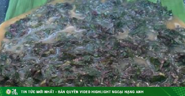 Adt1749369736 2 Loai Rau It Ngam Thuoc Tru Sau Nha Anh Cat 3 2 Auto Crop Watermark
