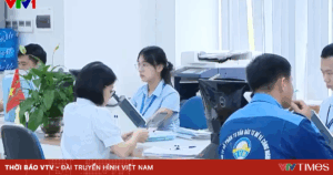 Chinh Quyen Dia Phuong 2 Cap 88940713478944643798308 30755234042672566354694