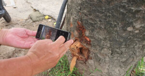 Clip Kich Tinh Nguoi Dan Truy Duoi Ke Nghi Trom Xe Cong Nong O Ha Noi 67763