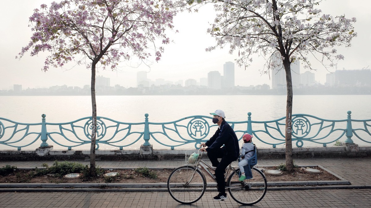Lamthanh 17491647072231482951980 107 0 826 1280 Crop 1749165004758836316303