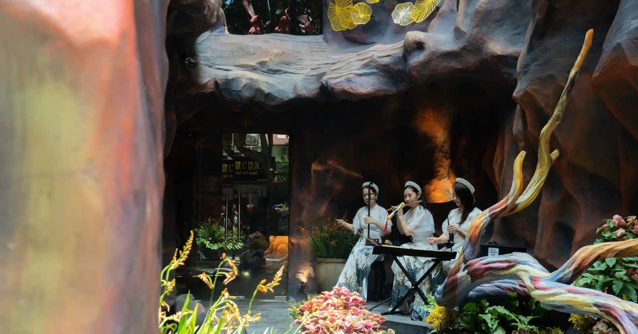 Vi Lai Chay Nha Hang Am Thuc Thuan Nguyen Giua Long Ha Noi 43591