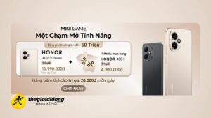 Hn400638856829623185431