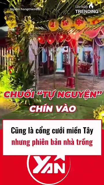 Cổng Cưới Miền Tây Phiên Bản Nhà Trồng