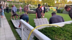 Goodwood Turf Covered Ahead Of Dj Set