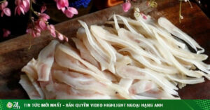 Adt1749693150 Anh 2 Tai Heo Trang Gion San S 9186 Anh Cat 3 2 Auto Crop Watermark