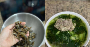 Dac San Chui Ra Tu Dat Dem Soi Den 1 Tieng Bat Duoc Vai Kg Nau Canh Mat Ruoi 83033