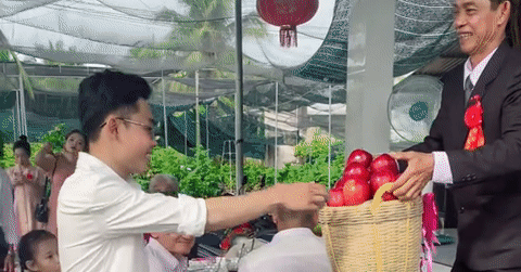 Dan Trap An Hoi Doc La Tu Vai Nhan O Ben Tre Khien Khach Bo Tiec Chay Ra Xem 44751