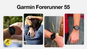 Garmin 2638840460762080243