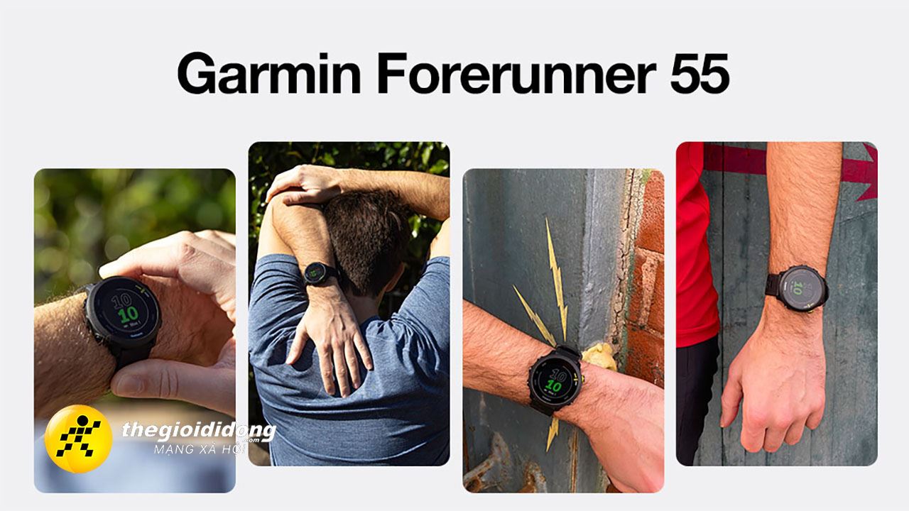 Garmin 2638840460762080243