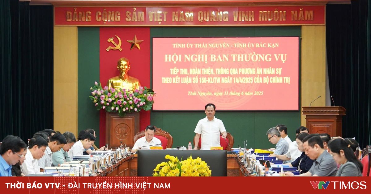 Hoi Nghi Thuong Vu 39822387078191061138165 84347860226255222052510