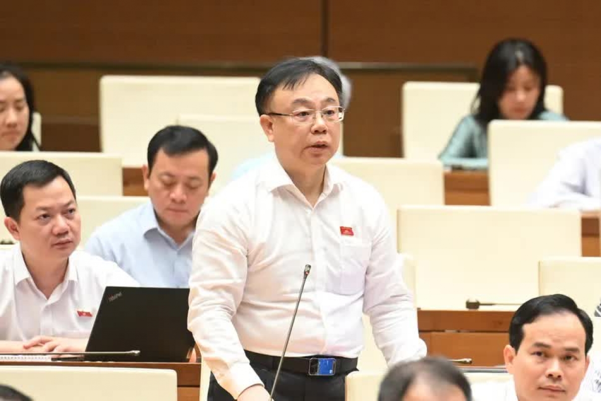 Nguyen Cong Long 1 8726 352020250620113905