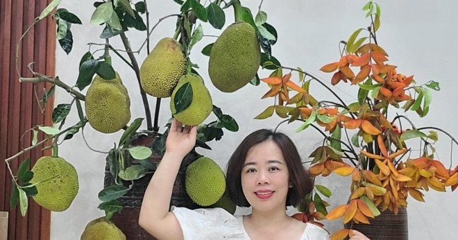 Qua Mit Canh Roi Chum Vai Len Binh Dep La Gay Sot Mang 98196