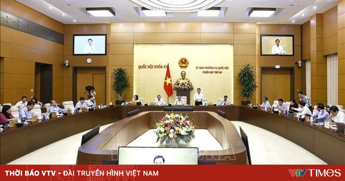 Quang Canh Ph 75423261552278247228941 32537499275882923871412