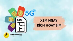 Sim 122028129638856686025440272