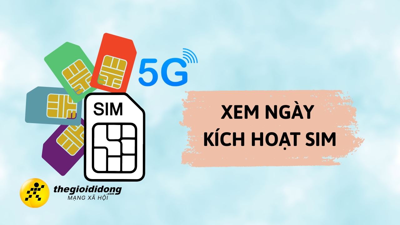 Sim 122028129638856686025440272