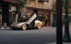 Tesla Robotaxi