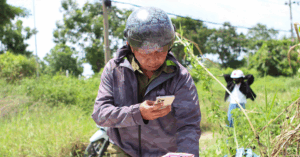 Thuc Pham Chuc Nang Bi Vut Bo Thanh Dong Khong Dung Lai O Hanh Vi Phi Tang 35806